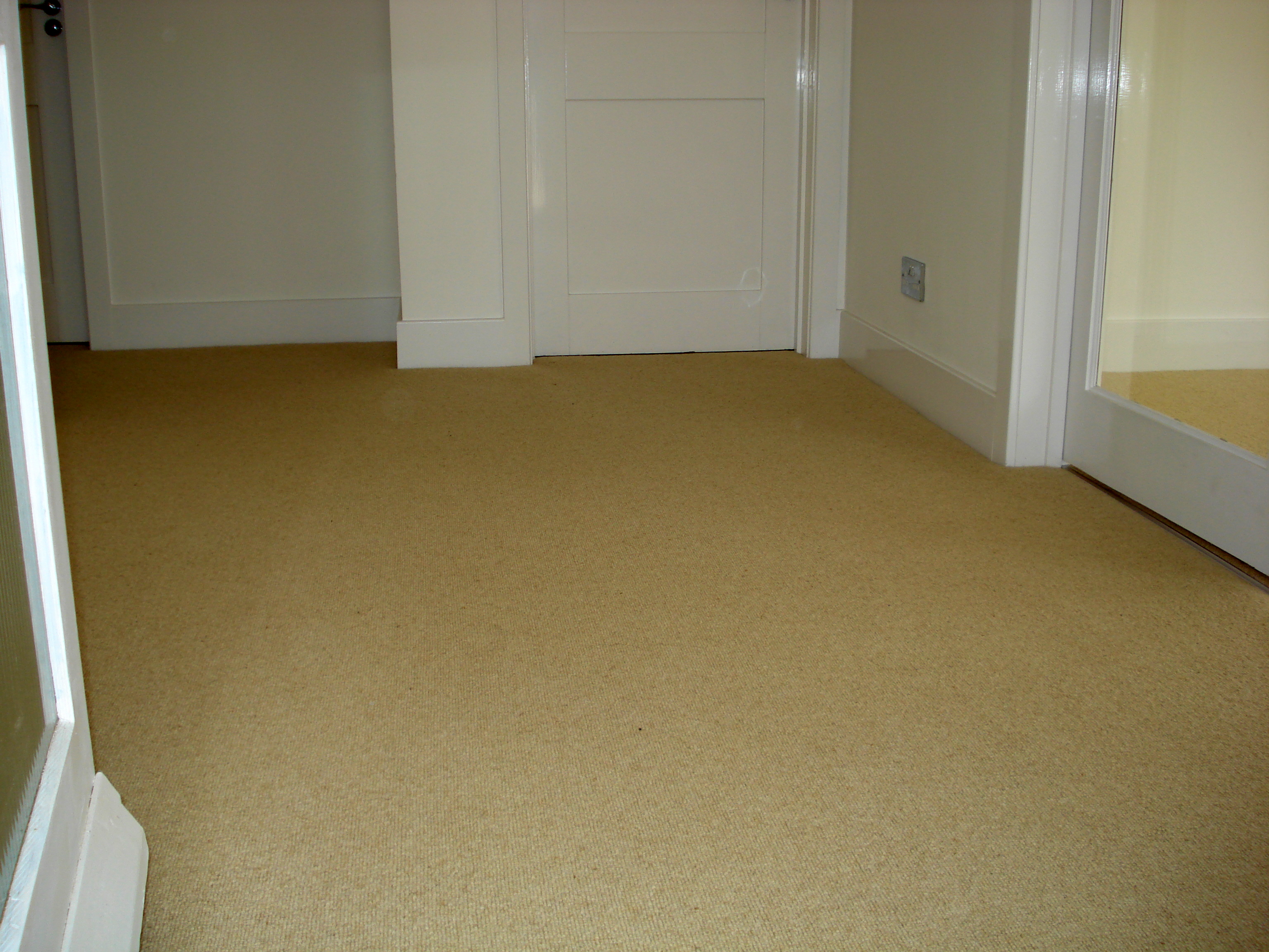 How To Care For Loop Pile Carpet at Benjamin Lilley blog