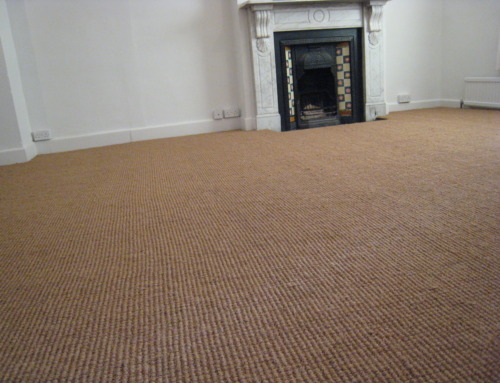 Sisal Carpet